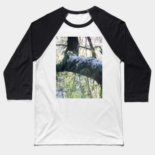 Forest Sun Rays in the Snow #39 Baseball T-Shirt